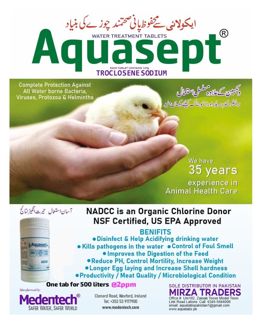 AQUASEPT |Farm Water treatment NADCC Chlorine tablets| 🐔 - Image 2
