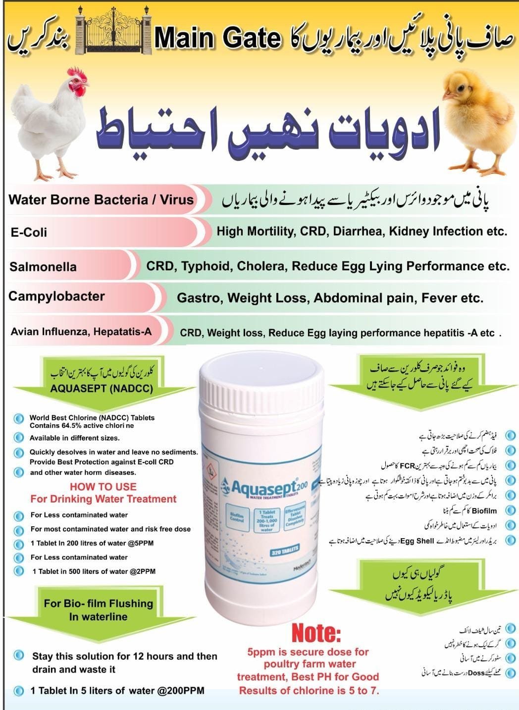 AQUASEPT |Farm Water treatment NADCC Chlorine tablets| 🐔 - Image 4